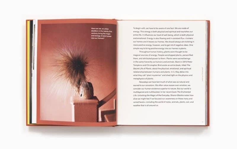 Plant Tribe: Living Happily Ever After with Plants