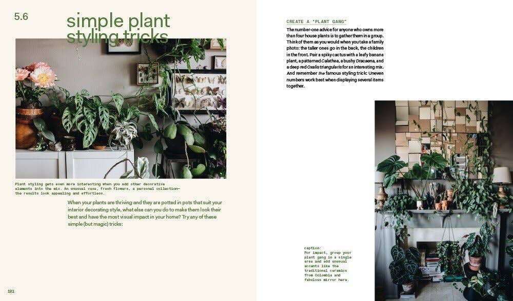 Plant Tribe: Living Happily Ever After with Plants
