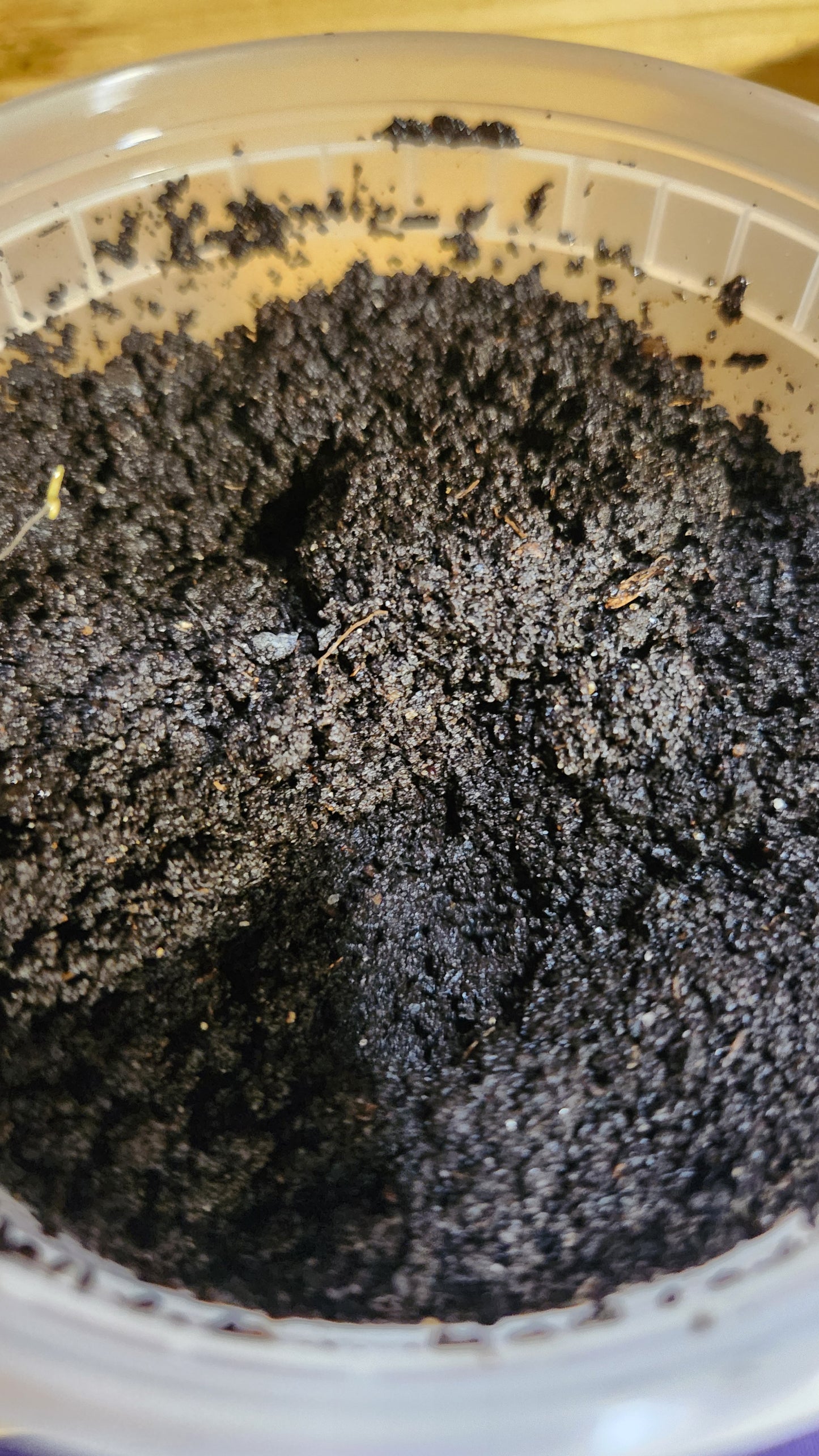 Little Earth Wigglers Worm Castings