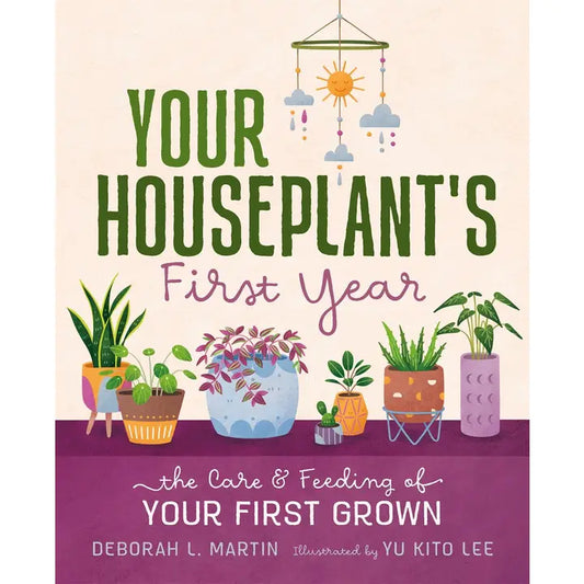 Your Houseplants First Year
