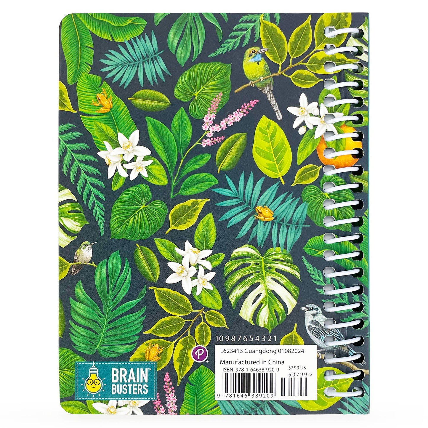 Word Search Puzzles for Concentration