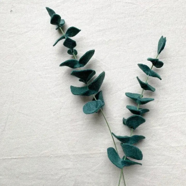 Felt Eucalyptus
