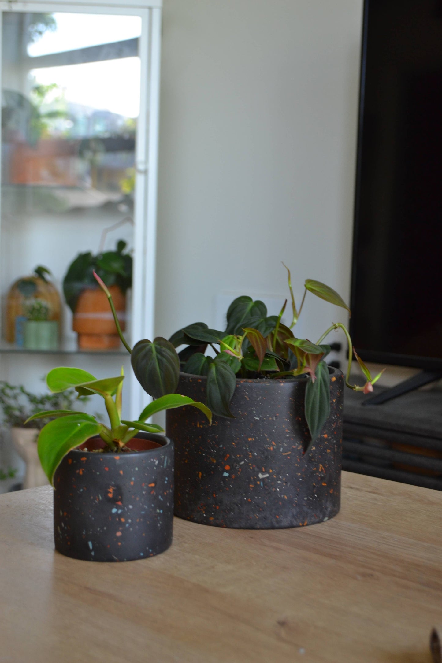ZERO WASTE Terrazzo Planter