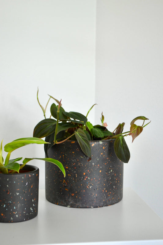 ZERO WASTE Terrazzo Planter