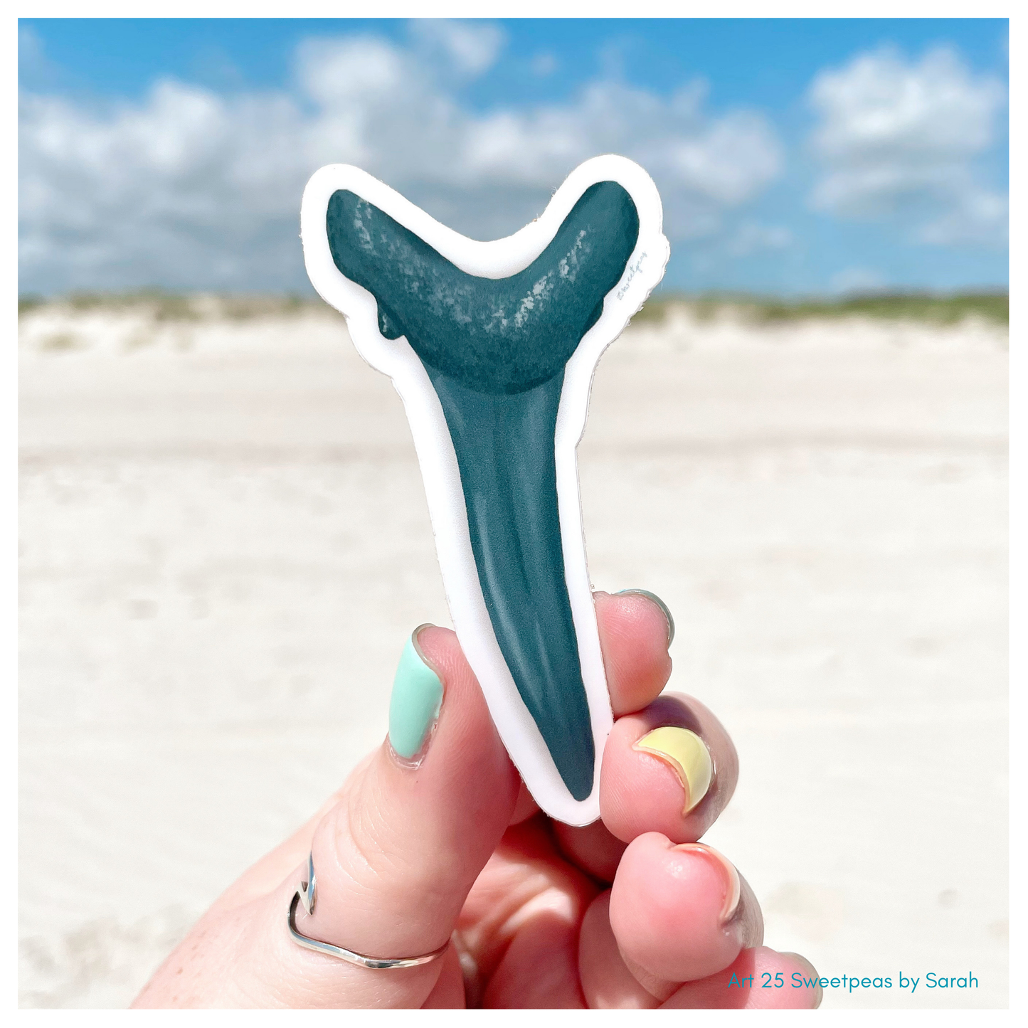 Shark Tooth Sticker, Sand Tiger Shark Tooth Art