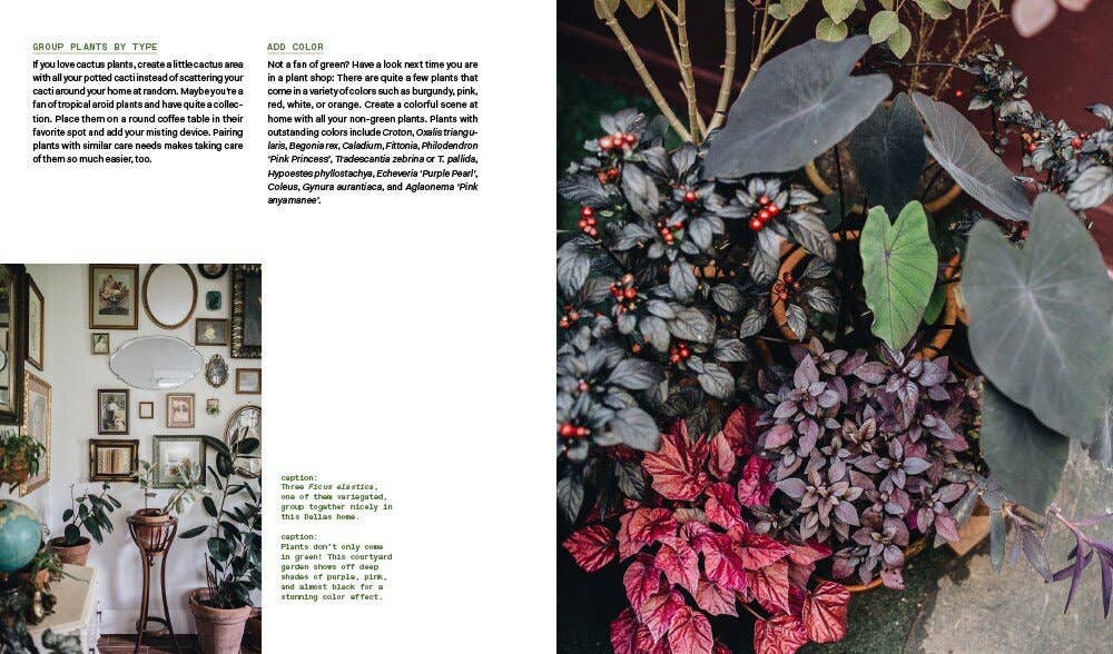 Plant Tribe: Living Happily Ever After with Plants