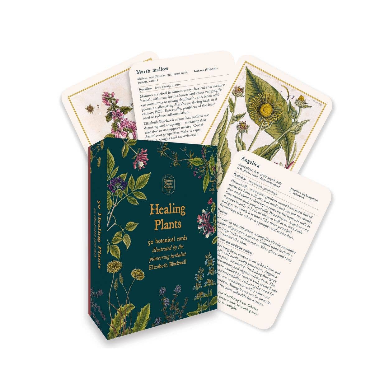 Healing Plants