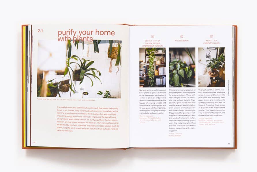 Plant Tribe: Living Happily Ever After with Plants