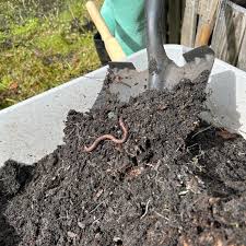 Little Earth Wigglers Worm Castings