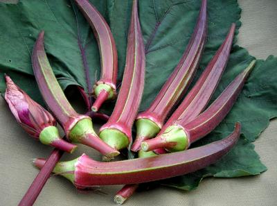 Bowling Red Okra