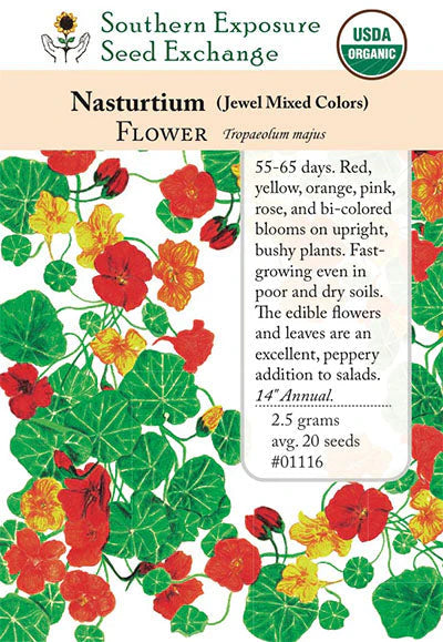 Nasturtium Flower