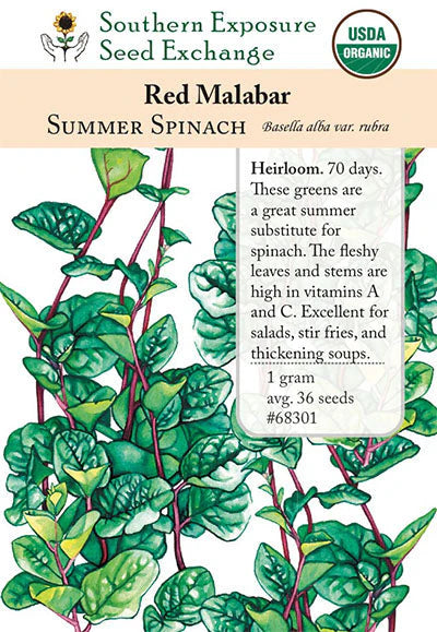 Red Malabar Spinach