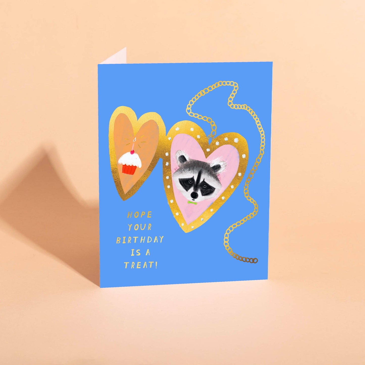 RACCOON PAL - Birthday Card