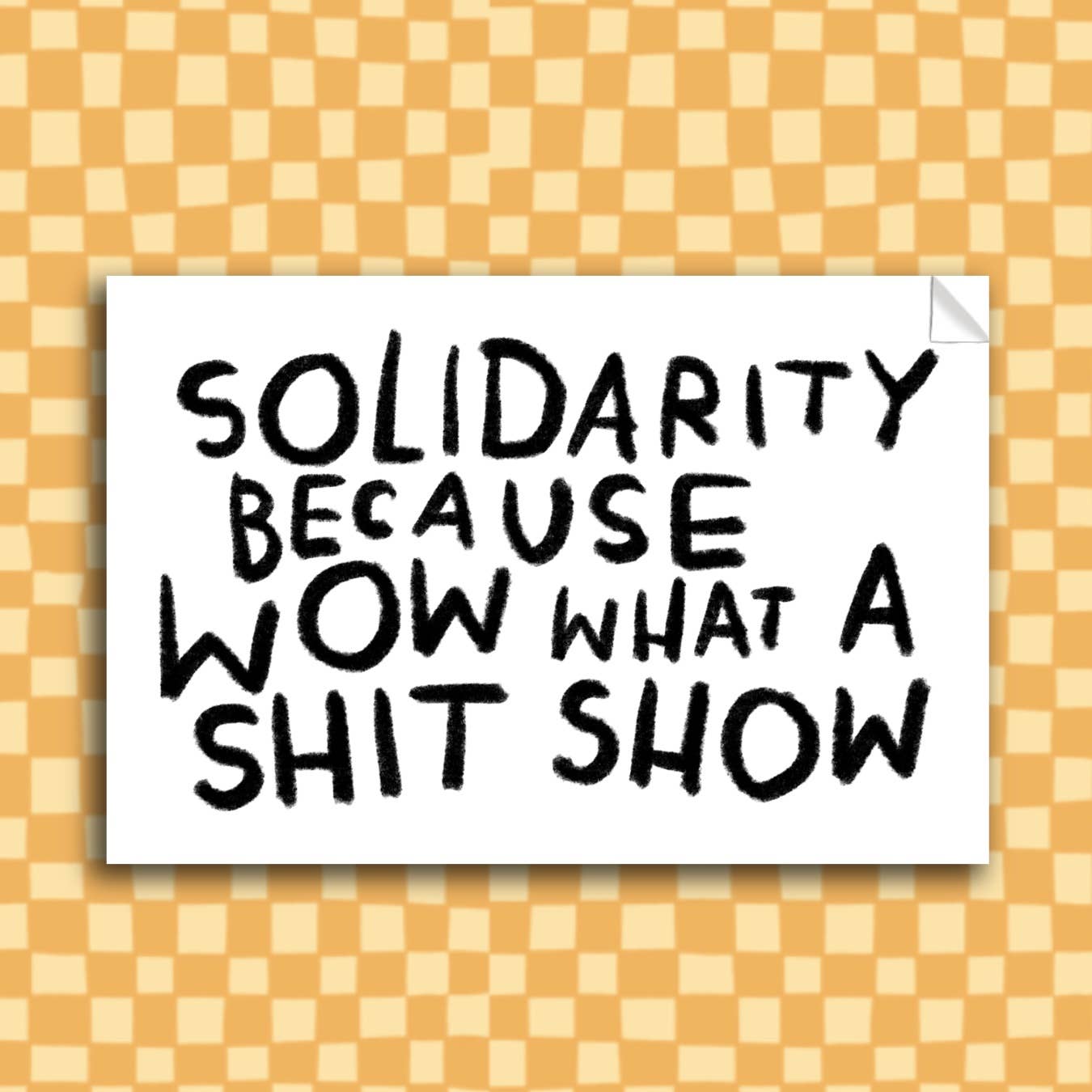 SHIT SHOW SOLIDARITY Sticker
