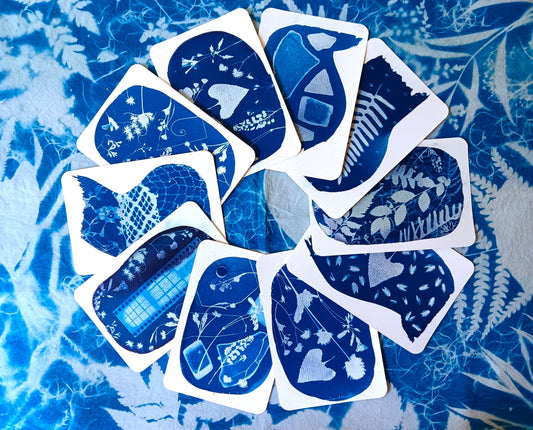 In a World of Blue | Intro to Cyanotypes Workshop | July 19th 11-2pm