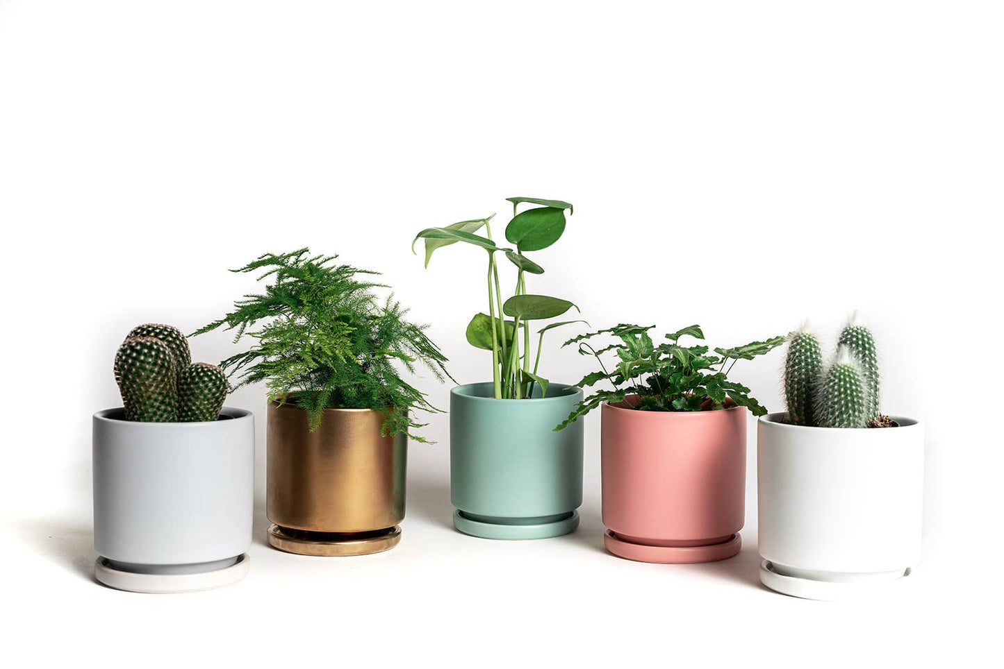 4.5" Gemstone Cylinder Pots with Water Saucers