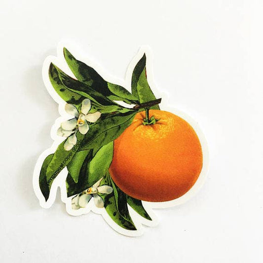 Orange Blossom Vintage Sticker