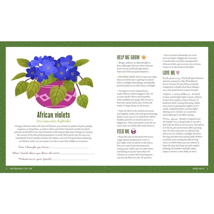 Your Houseplants First Year