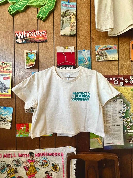 Protect the Florida Springs Crop Top