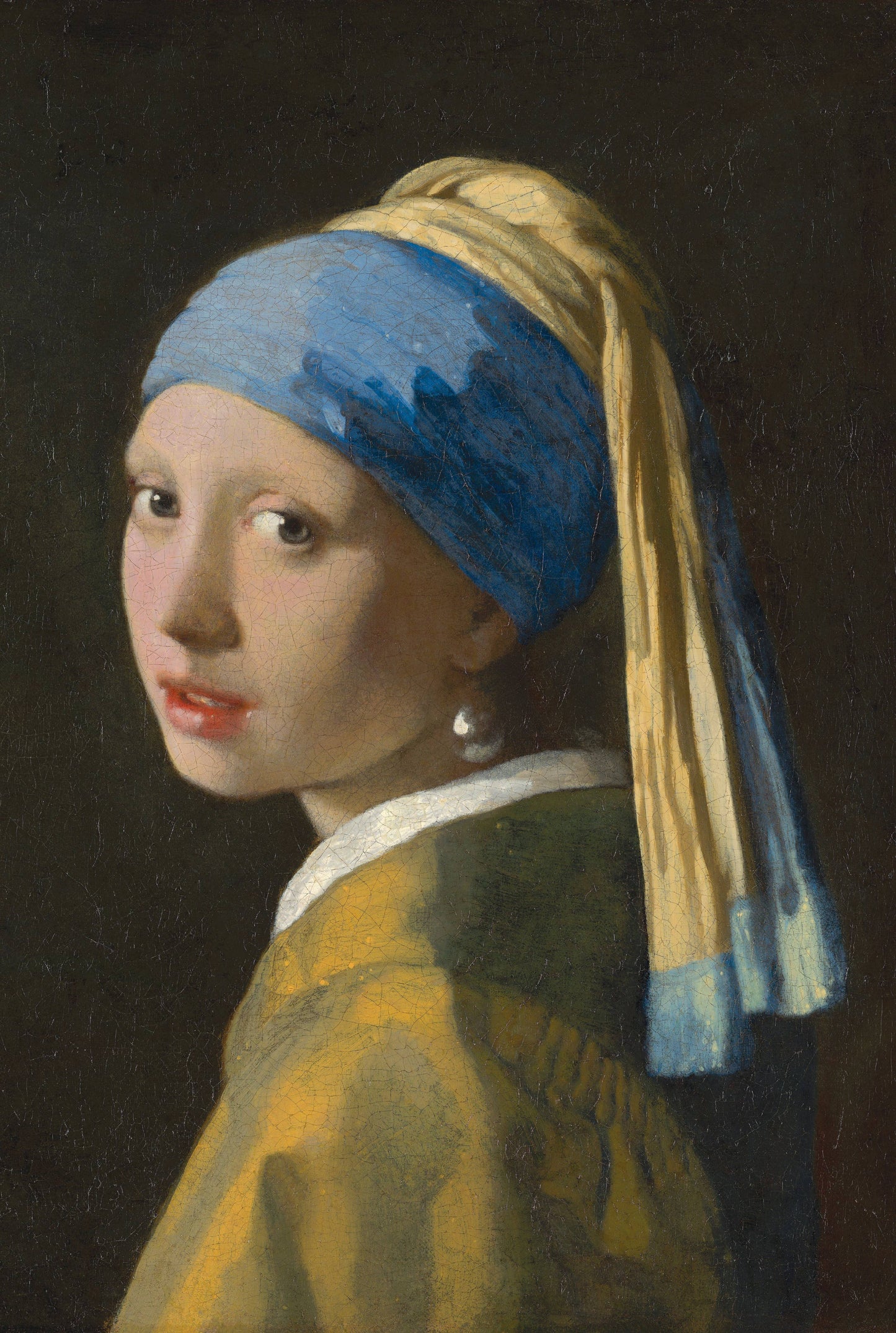 Vermeer: Girl with a Pearl Earring Fine Art Adult Puzzle