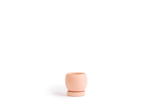 4.25" Bollé Pots w/Water Saucers - 8pc/cspk