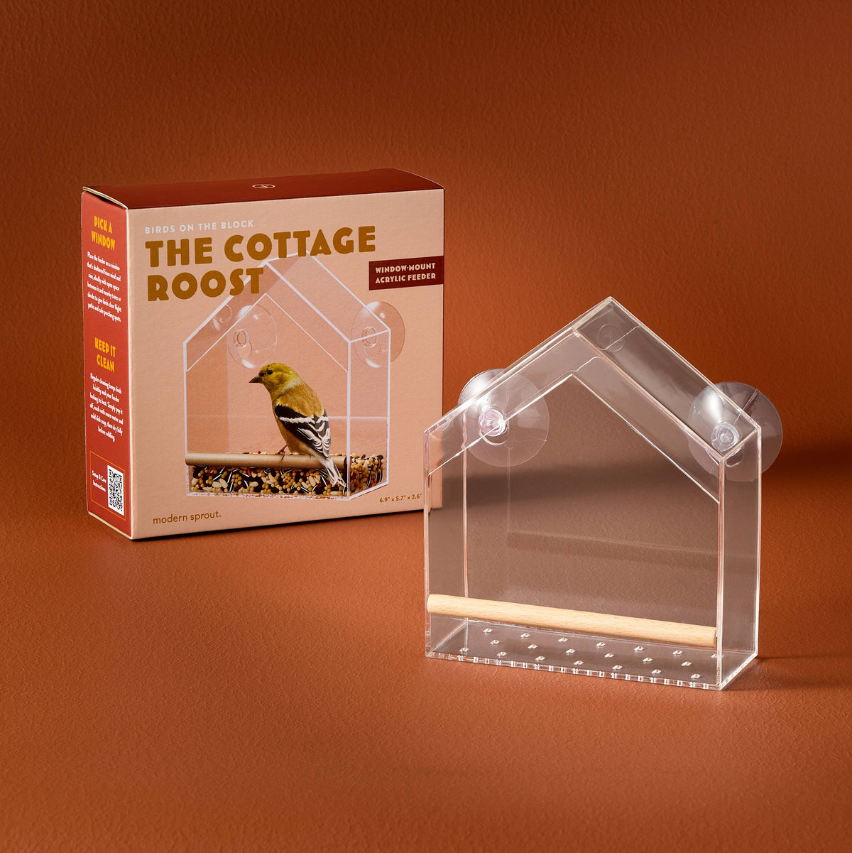 Birds on the Block | Bird Feeders
