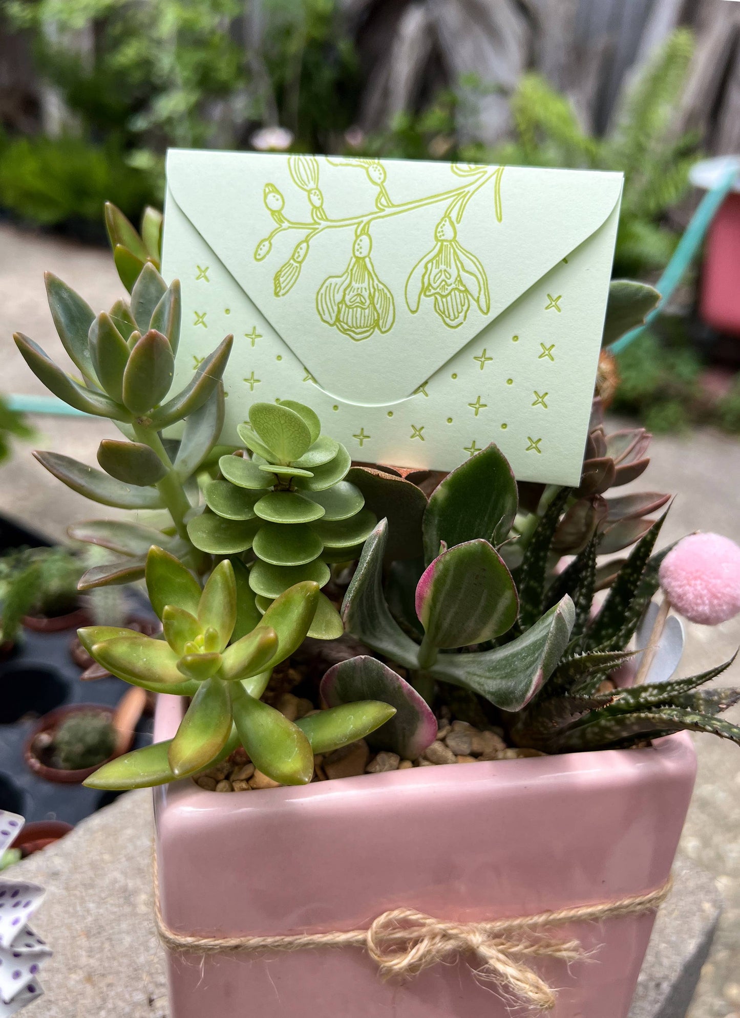 Frog and flowers green mini card