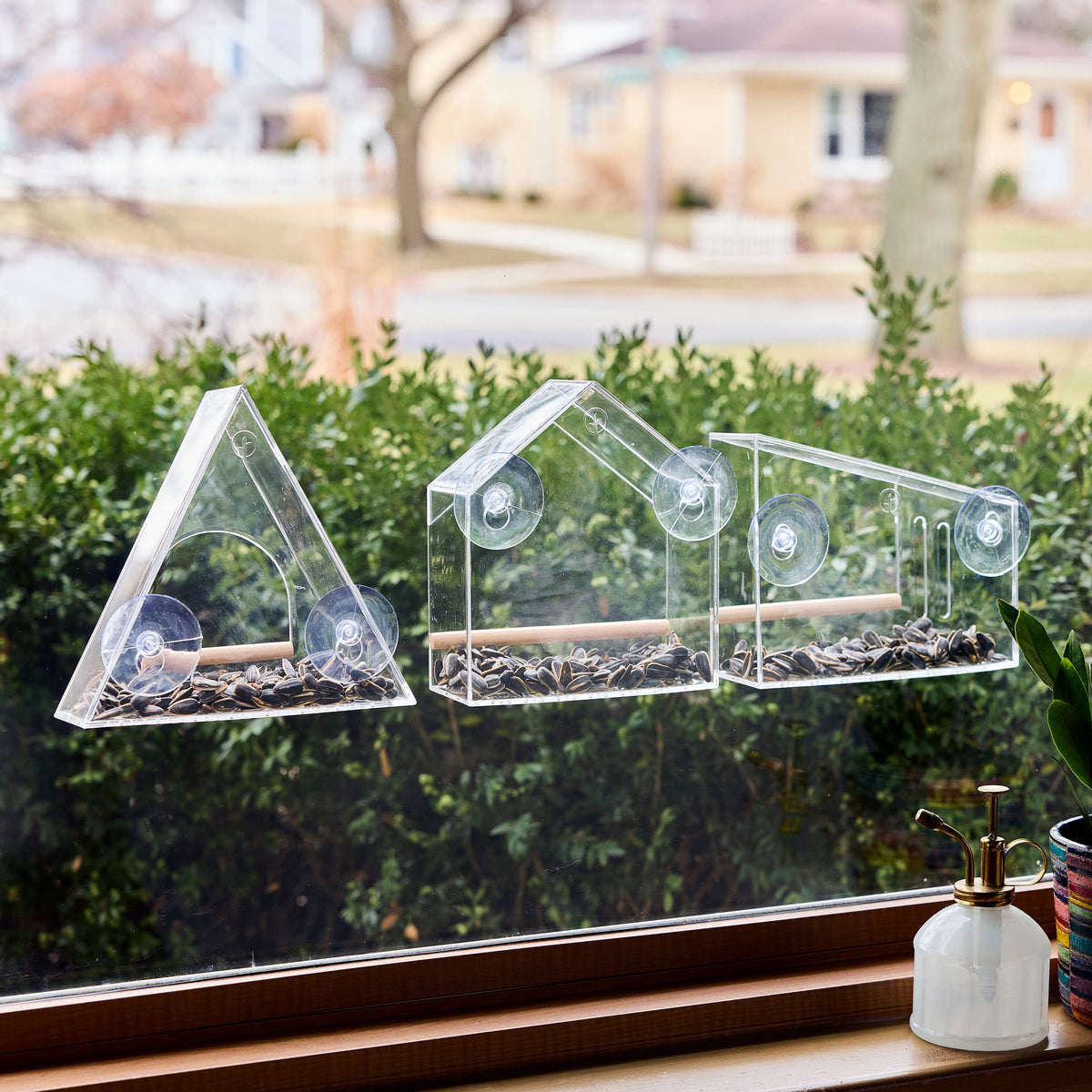 Birds on the Block | Bird Feeders