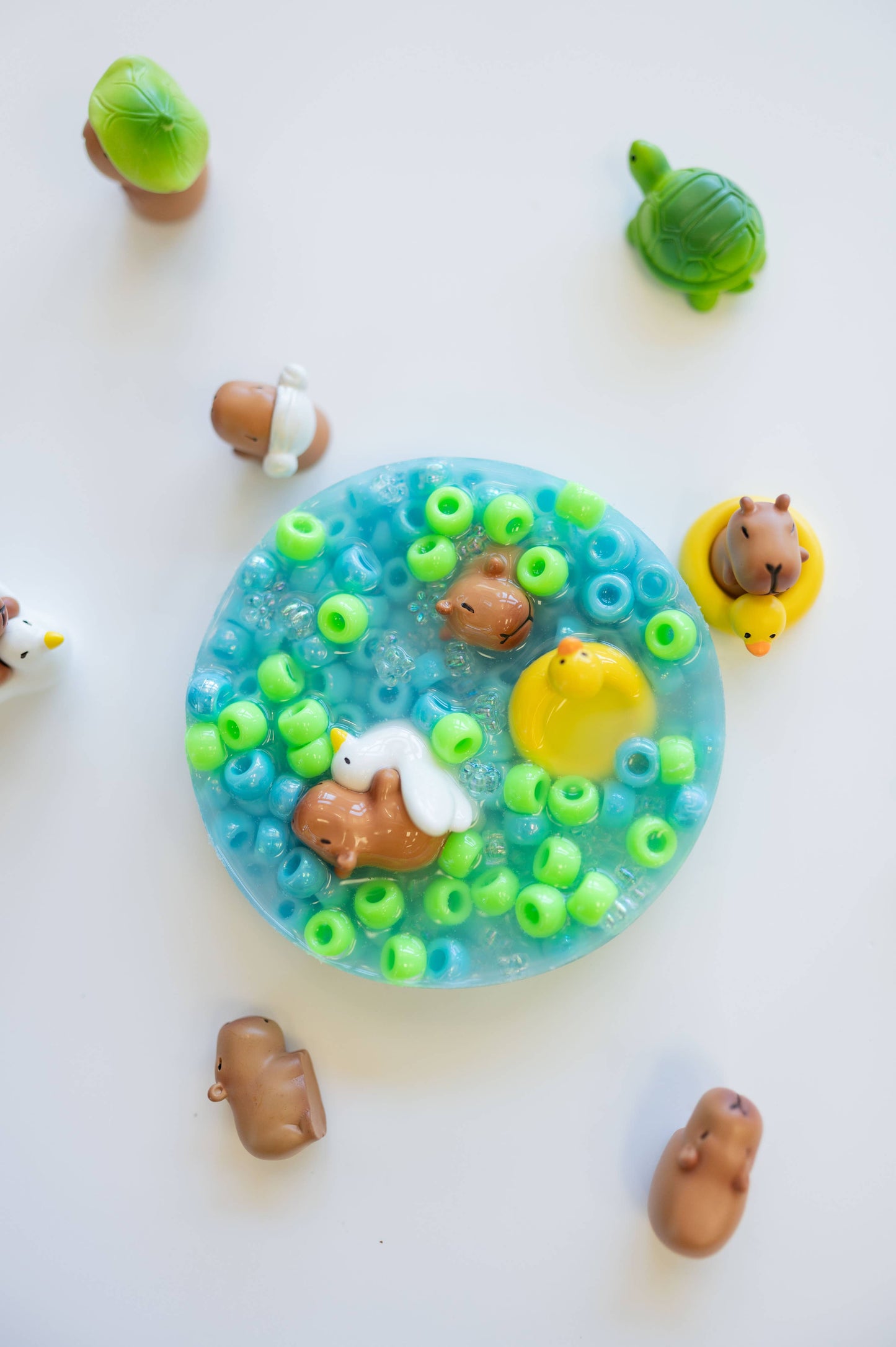 Capybara Pond, Picking Pad, Fidget Toy