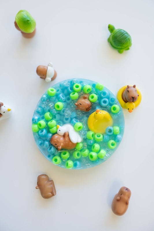 Capybara Pond, Picking Pad, Fidget Toy