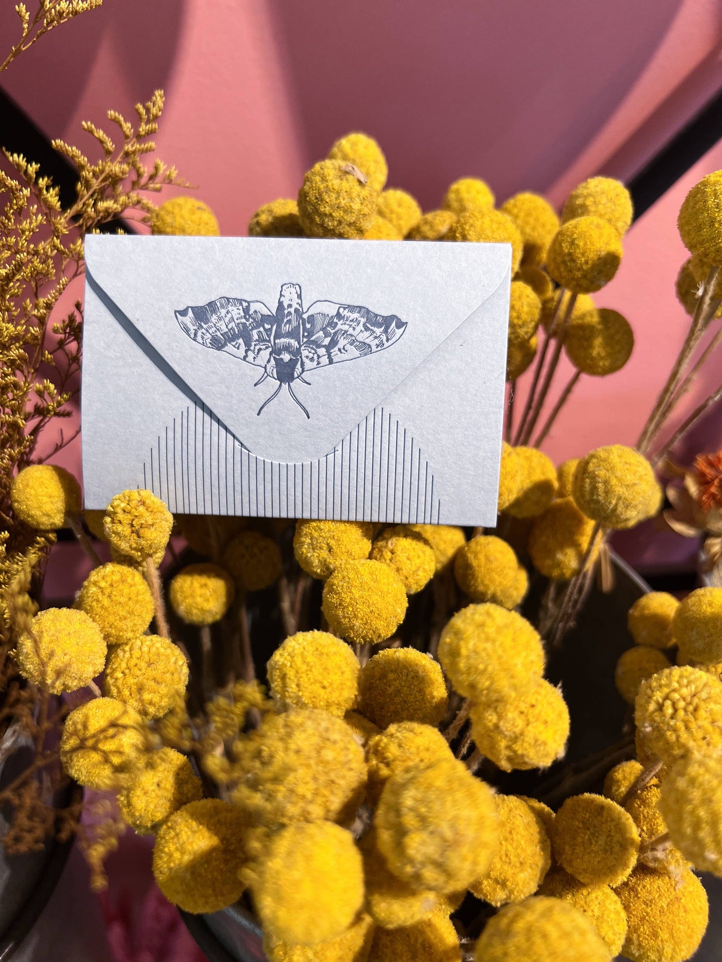 Blue moth mini card