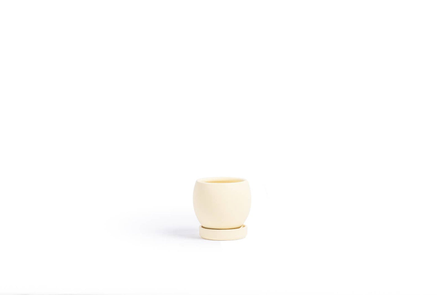4.25" Bollé Pots w/Water Saucers - 8pc/cspk