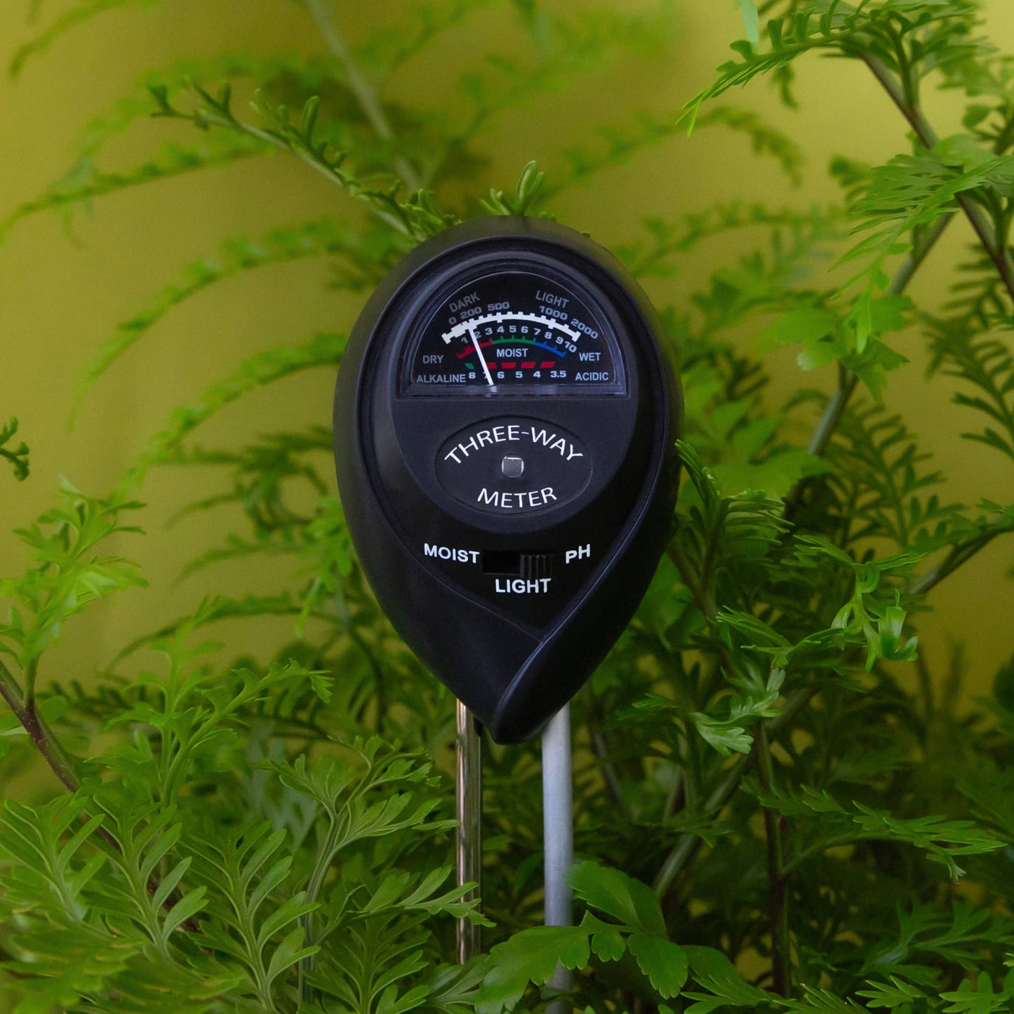 3-in-1 Moisture Meter | Black *NEW*