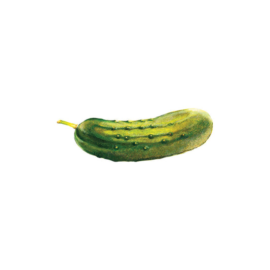 Pickle Tattoo Pair *NEW SP25