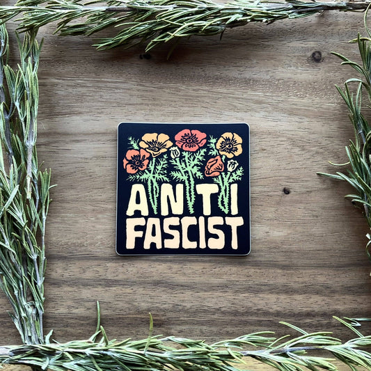 Anti Fascist Sticker | social justice matte vinyl