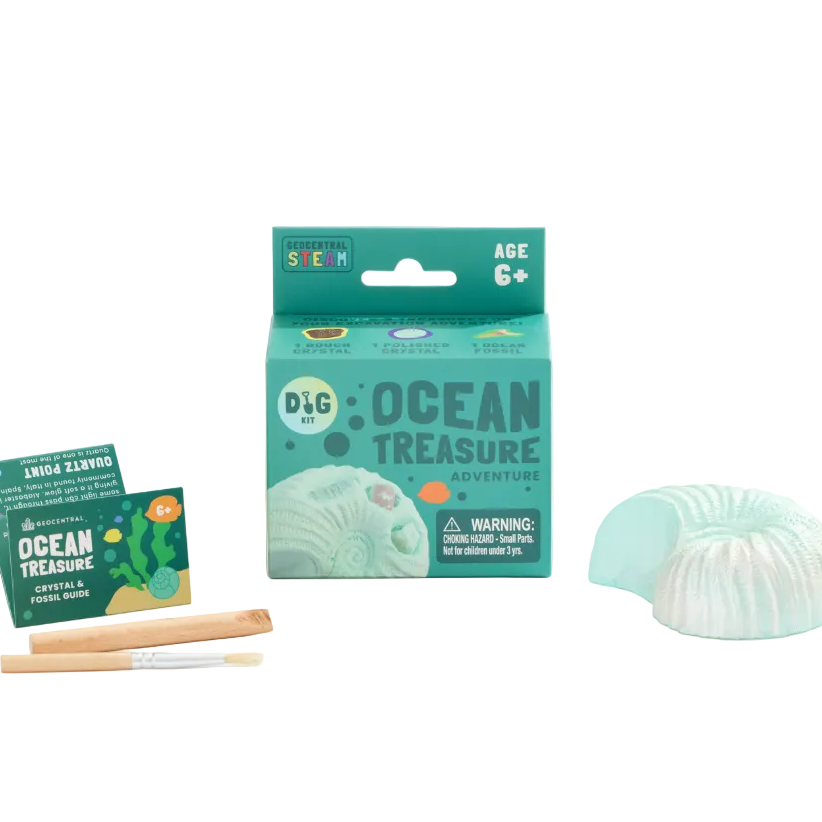 Ocean Treasure Dig Kit