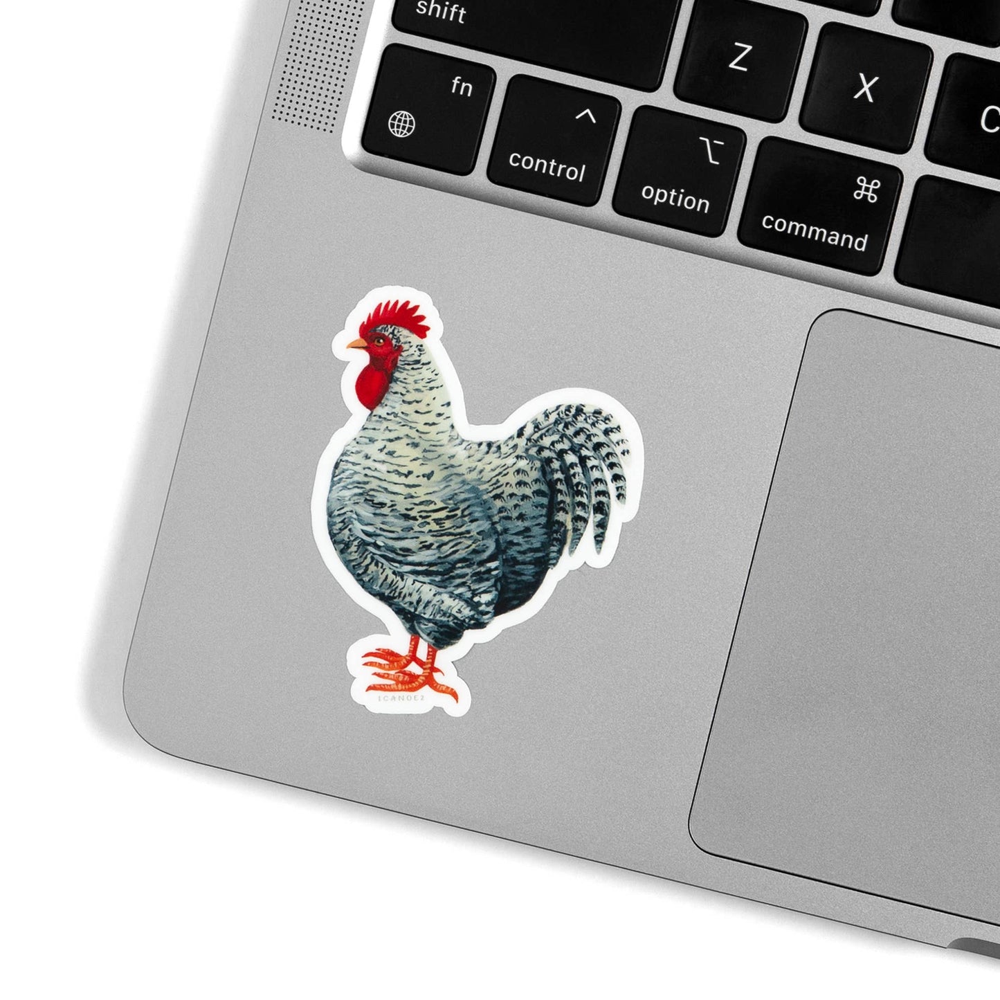 Wyandotte Chicken Decal Sticker