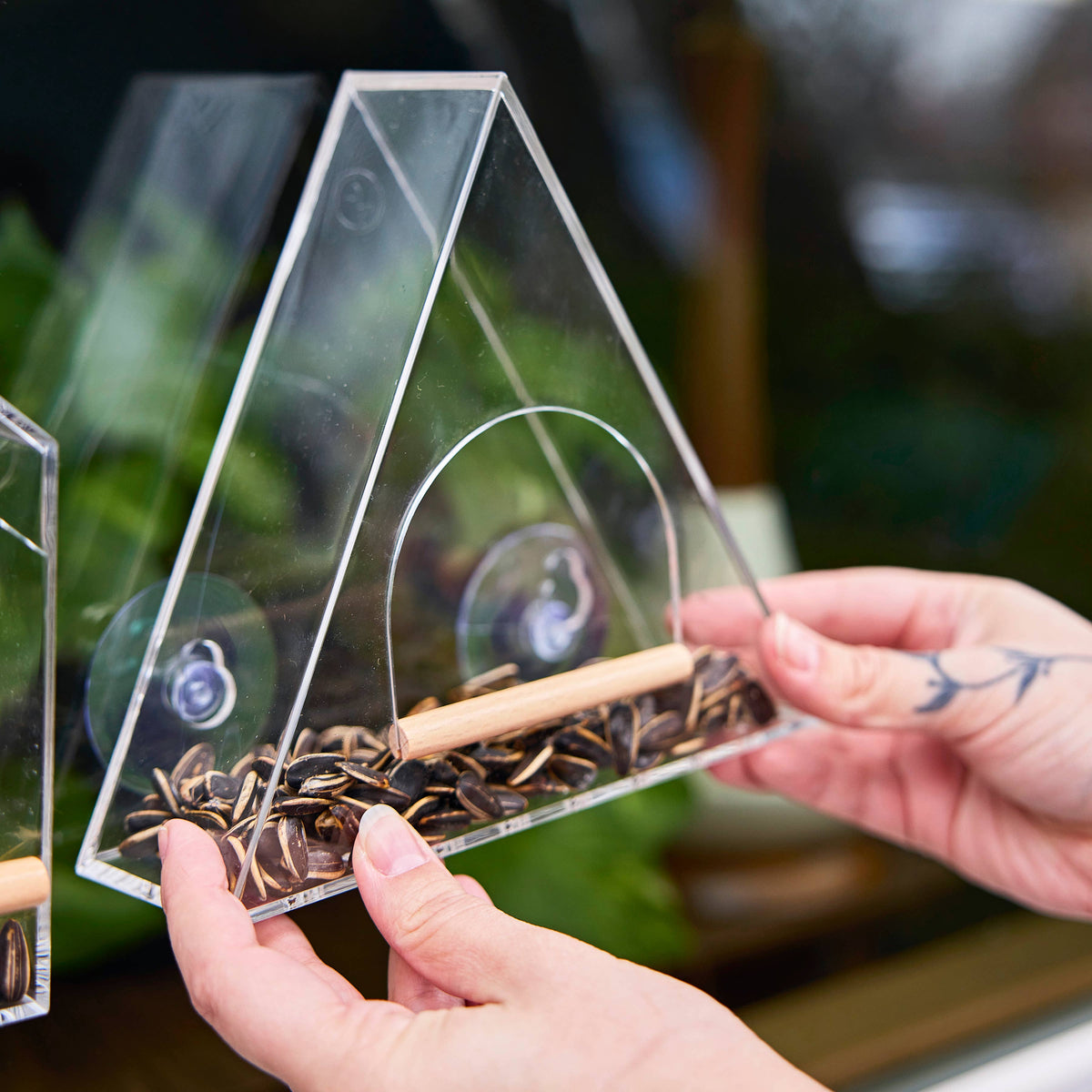 Birds on the Block | Bird Feeders