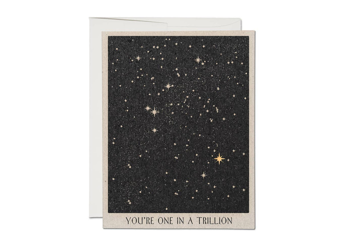 One in a Trillion friendship Greeting Card