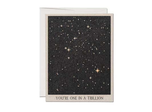 One in a Trillion friendship Greeting Card