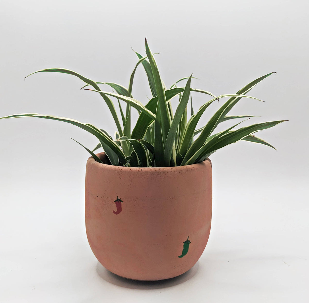 Concrete Planter - 4" | Plant Pot With Drainage Hole