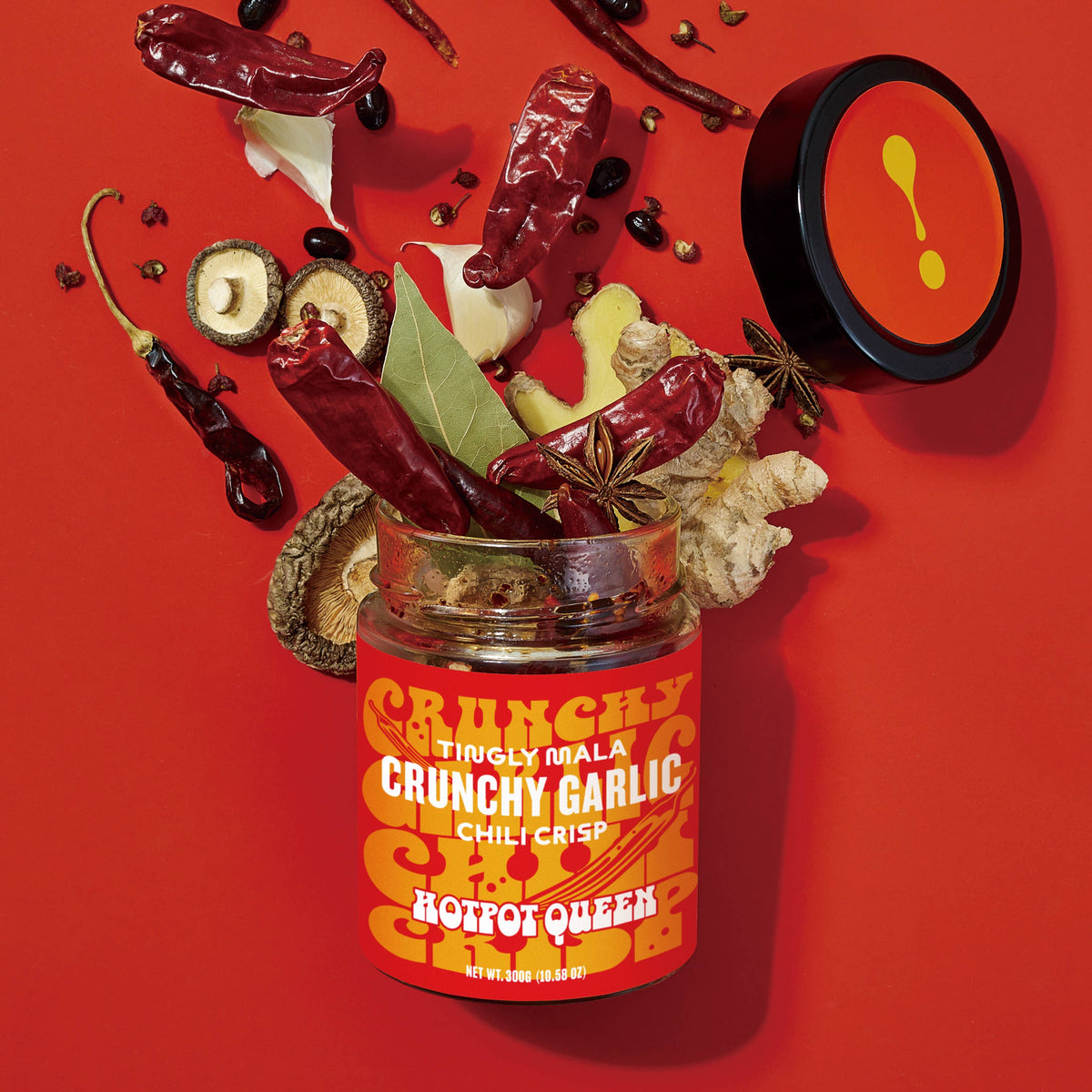 Crunchy Garlic Chili Crisp | 10.58 OZ