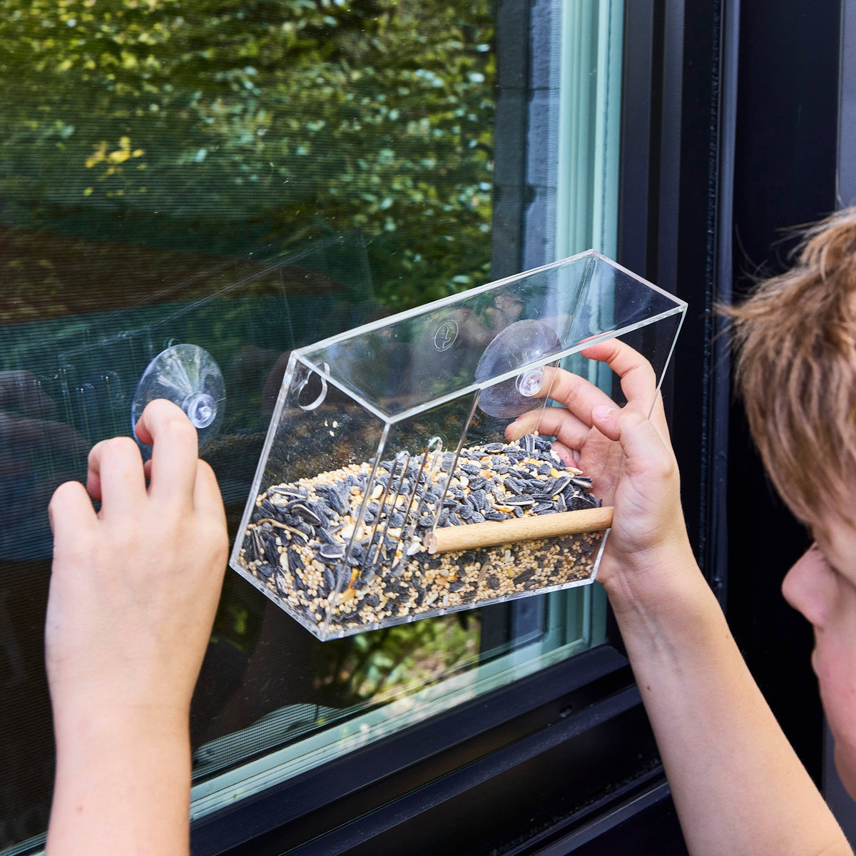 Birds on the Block | Bird Feeders