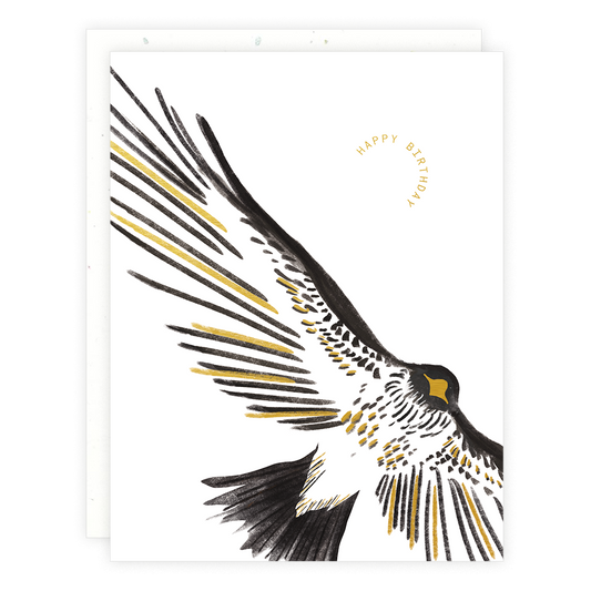 Hawk