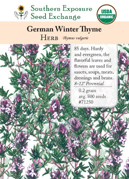 German WinterThyme
