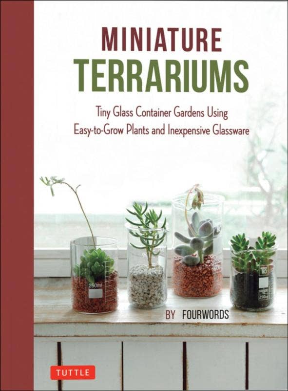 Miniature Terrariums: Tiny Glass Container Gardens