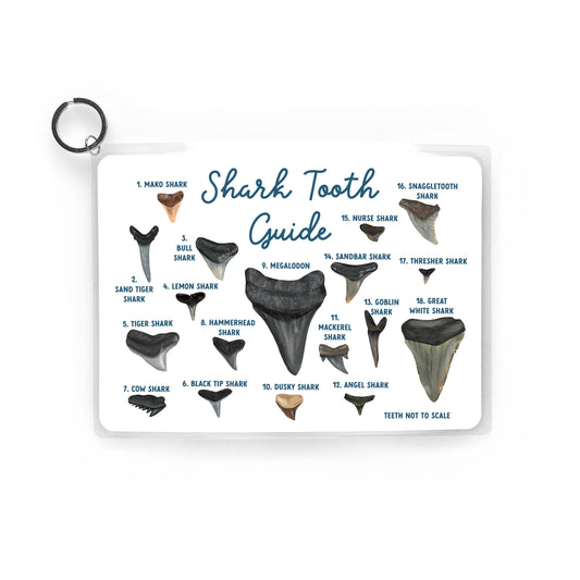 Shark Tooth Guide, Waterproof Reference, Beach Bag, ID