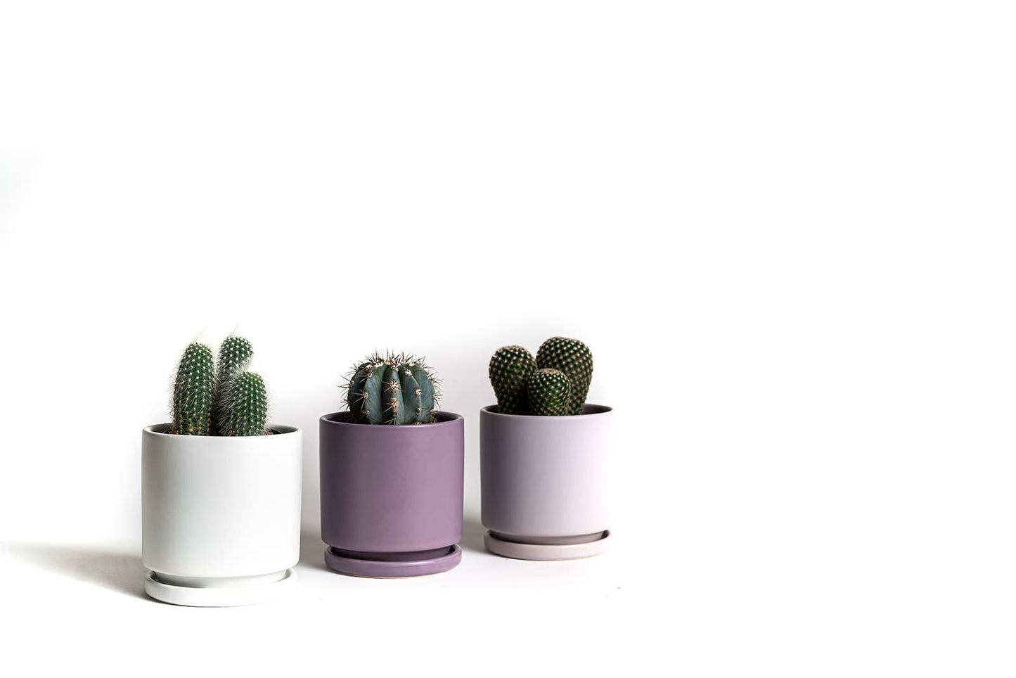 4.5" Gemstone Cylinder Pots with Water Saucers