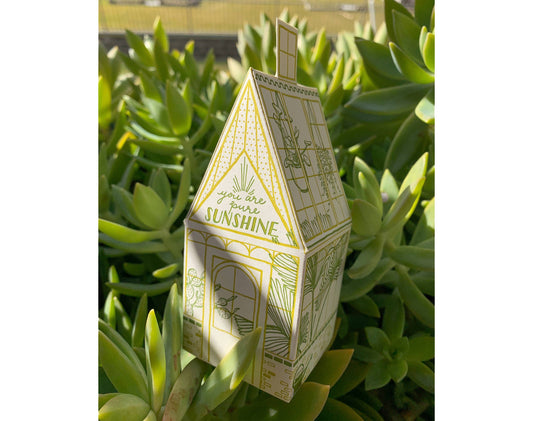 3D you are pure sunshine house card