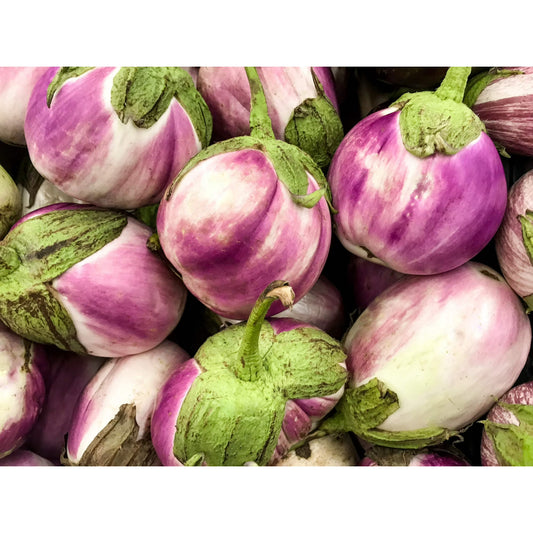 Rosa Bianca Eggplant
